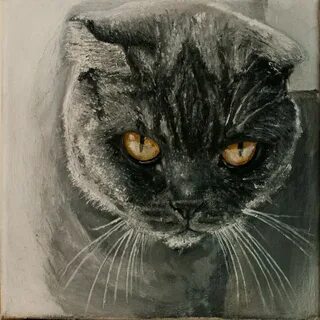 Кошкин кот