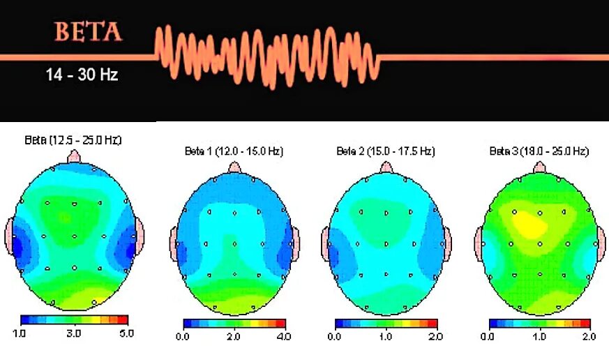 Альфа бета гамма волны головного мозга. Альфа бета тета ритмы. Альфа бета тета ритмы мозга. Альфа ритм и бета ритм головного мозга. Уровень активности мозга