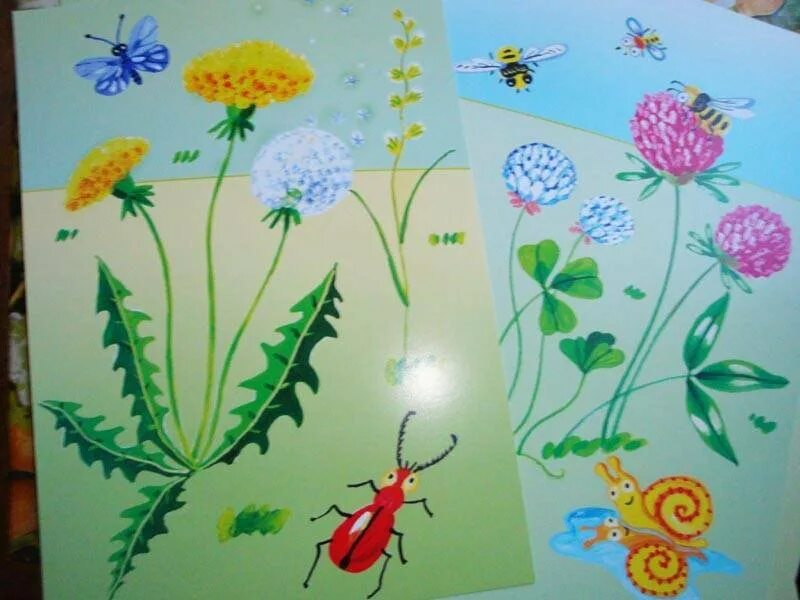 Рисование цветы старшая группа. Рисование в средней группе на тему цветы. Рисование красивые цветы старшая группа. Конспект рисование цветы старшая группа. Рисование в старшиейгруппе.