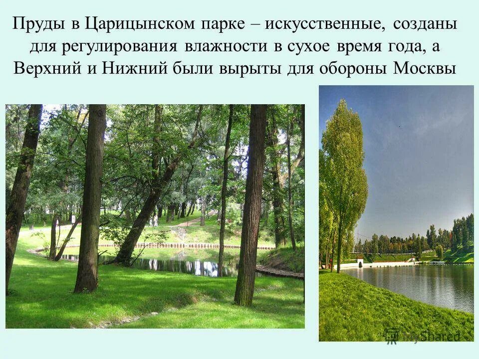 Царицыно сообщение. Царицыно презентация. царицынский парк пруды. история парка царицыно презентация.