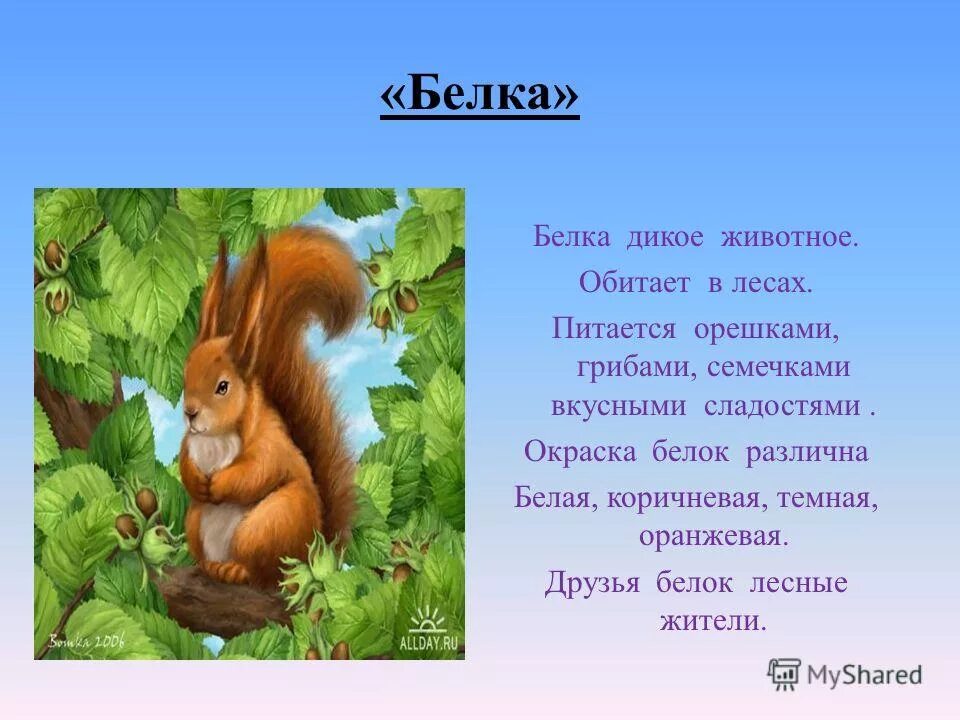 Проект о животных 5 класс. Рассказы о животных. рассказ про животных 1 класс. текст про животных. рассказ о животных 2 класс.