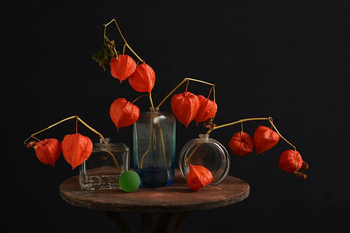 ольга базанова физалис. композиции с физалисом. физалис натюрморт. роберт фальк осенний натюрморт физалис. осенний физалис.