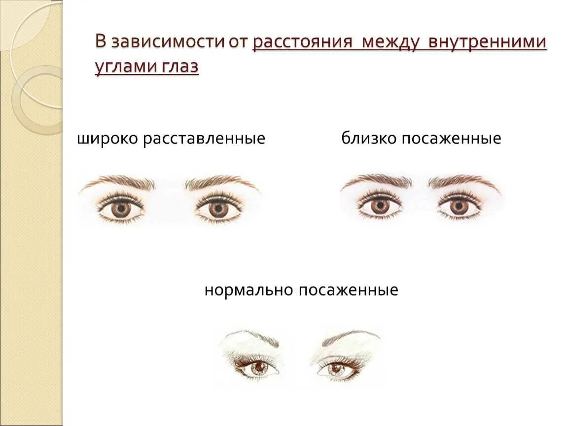 Узкие глаза признак. Моделирование формы глаз. Разновидности форм глаз. Узкая форма глаз. Типы расположения глаз.