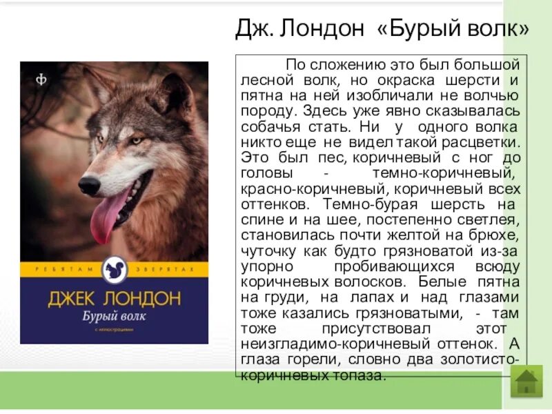 Краткое содержание джека лондона волк. Дж Лондон бурый волк 3 класс. Бурый волк Джек Лондон читать 3 класс. Рассказ бурый волк Джек Лондон. Краткое содержание рассказа бурый волк Джек Лондон.