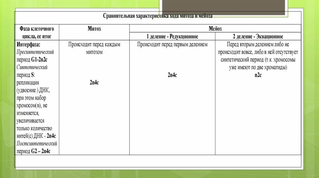 Сравнение митоза и мейоза таблица. Интерфаза митоза и мейоза таблица. Сравнительная характеристика мейоза. Сравнительная характеристика митоза и мейоза интерфаза. Сравнение митоза и мейоза таблица интерфаза.