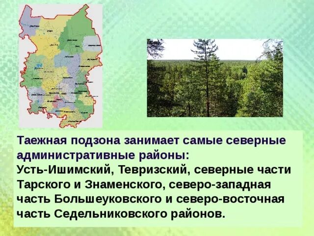 Какие природные богатства в омской области. Природные зоны Омской области. Лесная зона Омской области. Природные зоны Омской области карта. Природно климатические зоны Омской области.