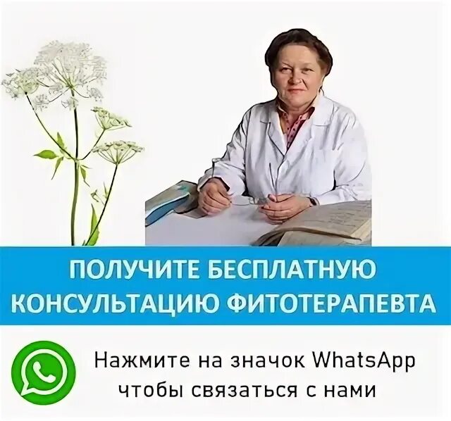 Лившиц фитотерапевт. Лекция фитотерапевта. Учебник по фитотерапии. Лекция фитотерапевта. Консультация фитотерапевта.