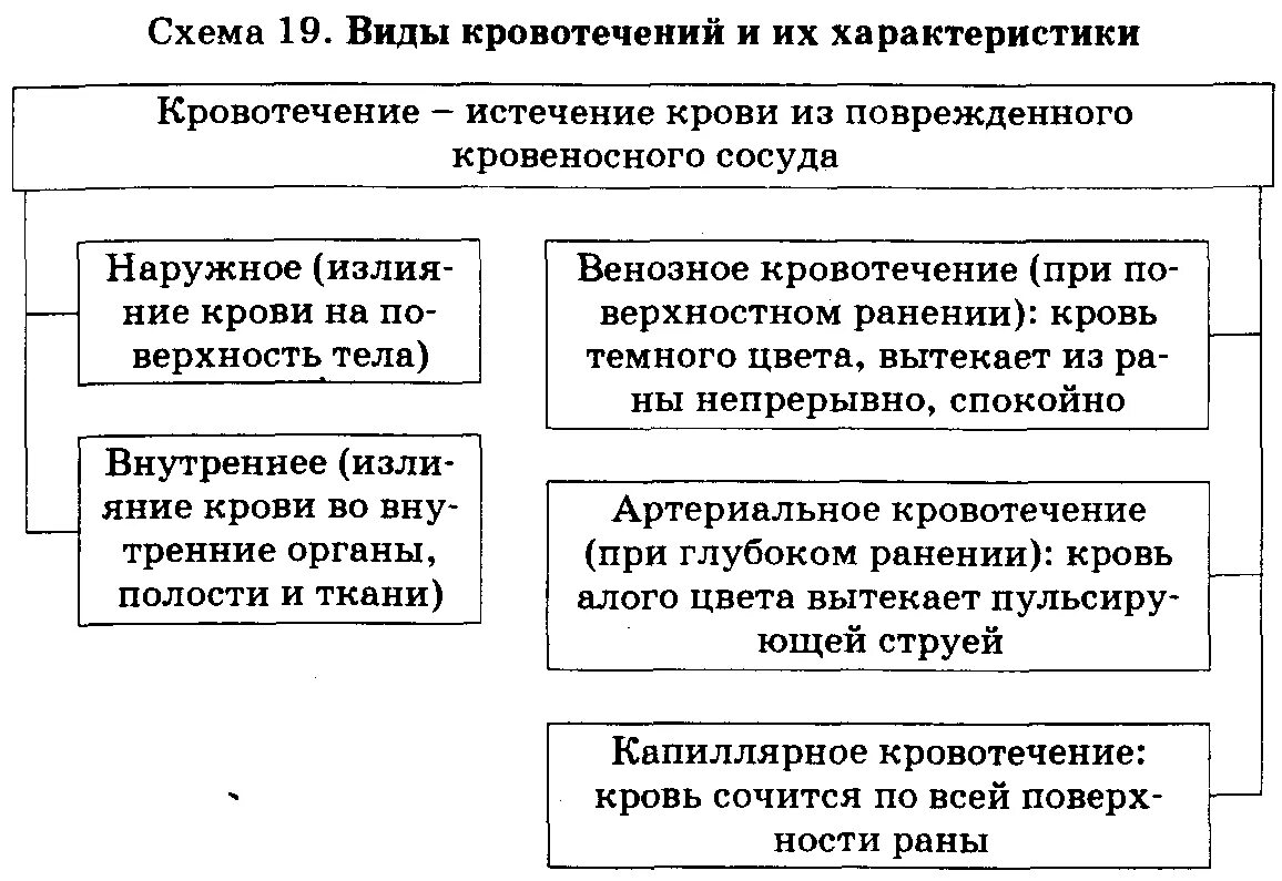 Кровотечения бывают следующих видов ответ. Наружные и внутренние кровотечения таблица. Виды кровотечений схема. Характеристика видов кровотечений. Виды наружного кровотечения таблица.