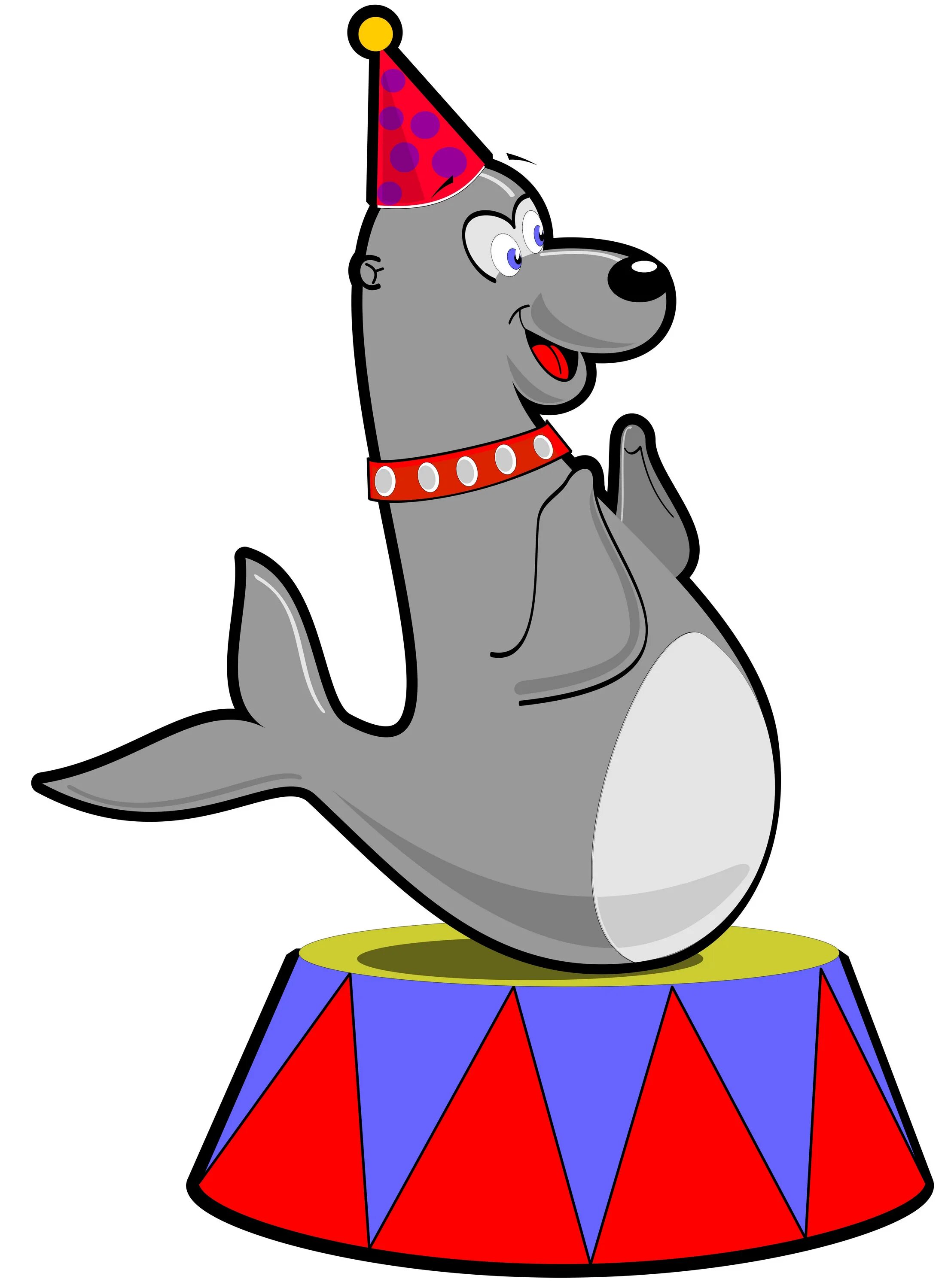 There a funny dog at the circus