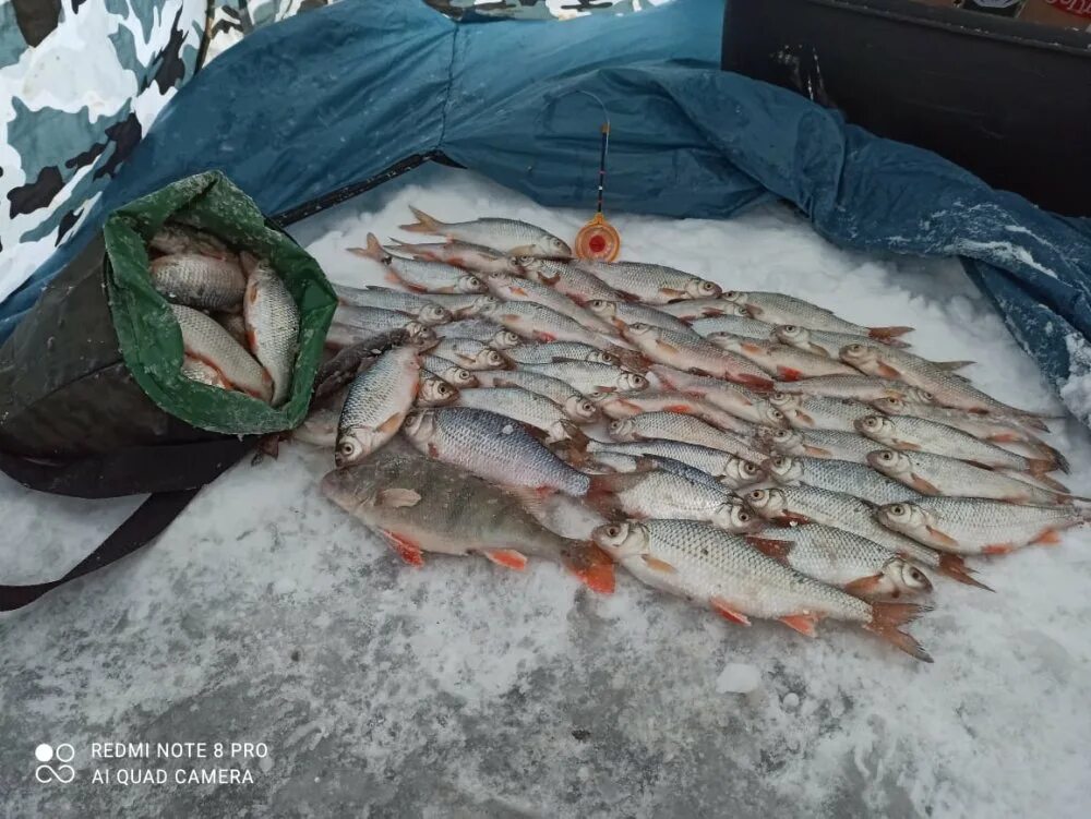 Вести с водоемов. FISHINGSIB вести с водоёмов. Вести с водоемов Новосибирск. Вести с водоёмов сайт новосибирских.