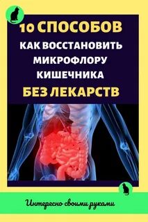 Продукты восстанавливающие кишечник после антибиотиков