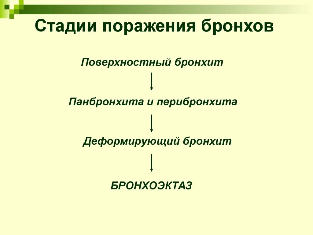 Бронхит развитие. Острый бронхит стадии развития. Стадии развития бронхита у детей. Бронхит этапы развития болезни. Этапы острого бронхита.