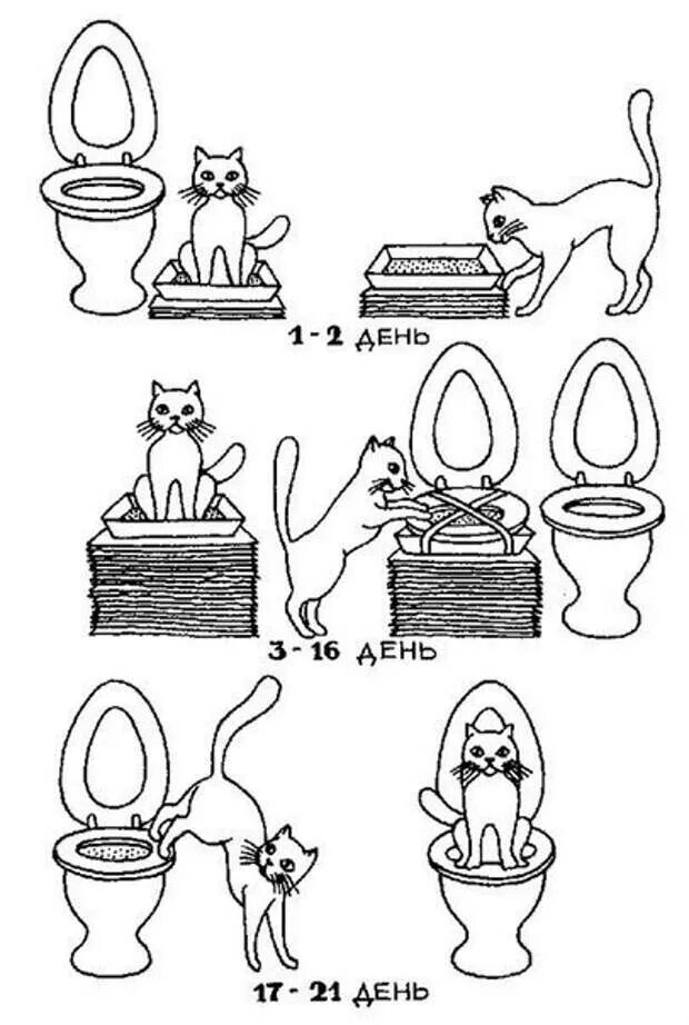 Котенок ходит в горшок