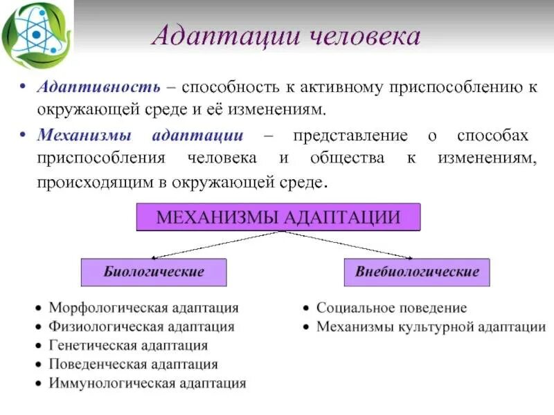 Способы адаптации к изменениям. Адаптация человека. основные механизмы адаптации. механизмы адаптации человека к окружающей среде. примеры адаптации человека.