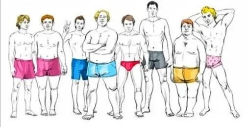 Адреналиновый тип человека. Соматипология. Шадрин соматипология. Совместимость соматипов. Соматипы шадрина.