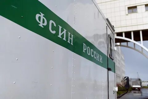Сизо 2021