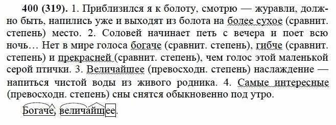 русский язык 6 класс дрофа практика