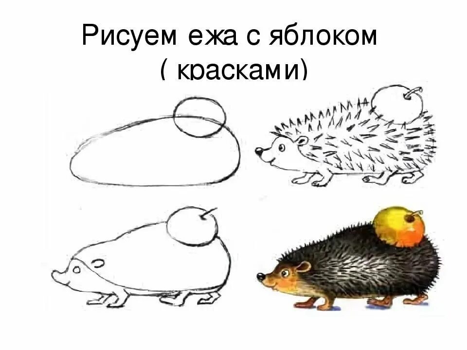 Как рисуется еж