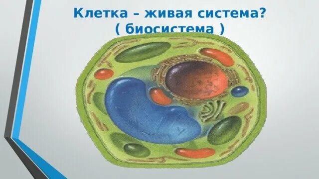 Схема клетка живая. Клетка Живая система. Схема клетка Живая система. Схема клетка Живая система 5. Клетка Живая система 5 класс.