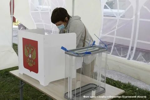 Выборы в кургане