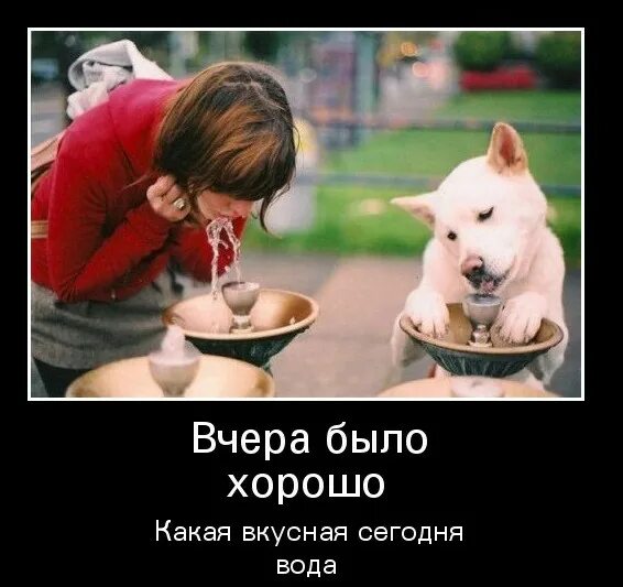 Шутки про вовочку и марью ивановну. Жена скотина. Валерьянка прикол. Обезьяна проснулась. Отключение воды юмор.