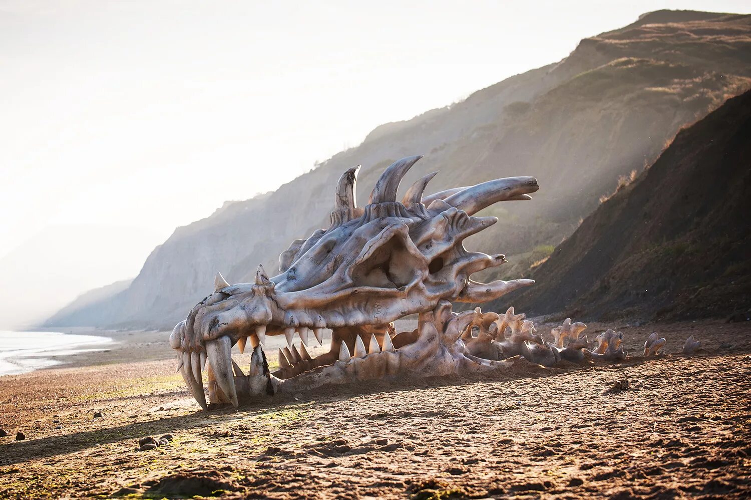 Юрское побережье череп дракона. Скелет дракона. Драконы в реальной жизни. Огромный дракон. Великий громадный