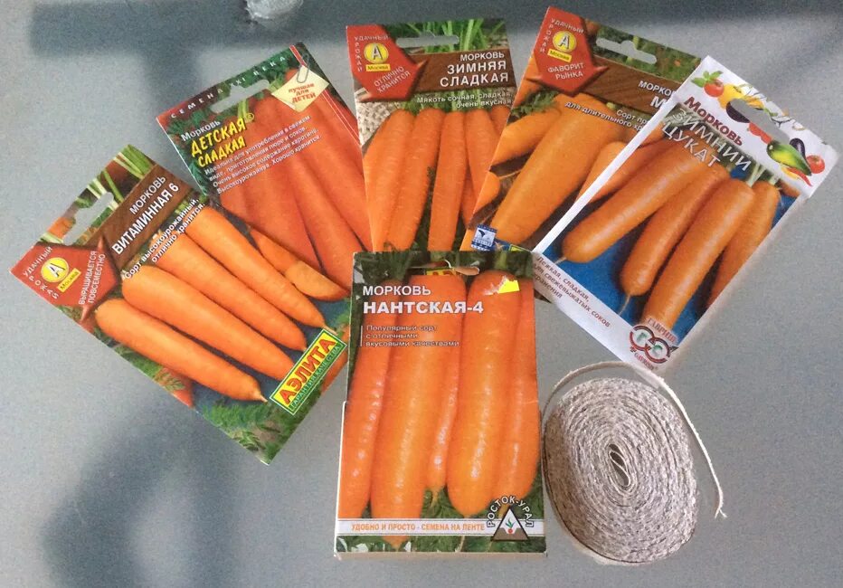 Какая морковь сладкая. Сорта моркови для посадки. Морковь семена. Морковь семена лучшие. Сорта моркови для посадки весной.
