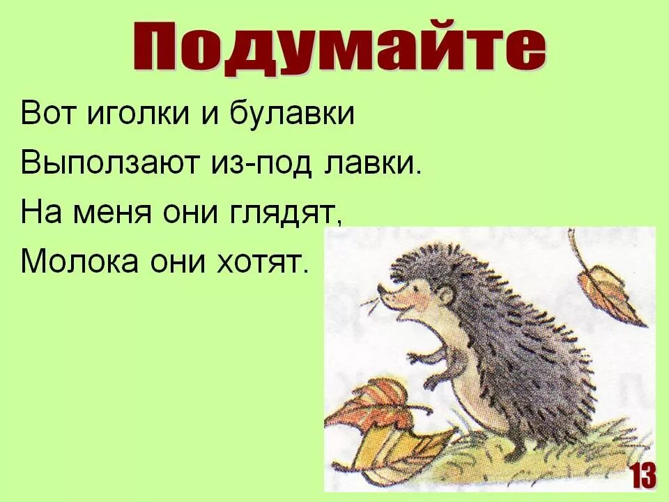 Загадка про ежика для 1 класса. Загадка о ёжике для детей 1 класса. загадка про ежика. загадка про ежа. загадки про ежей для детей.