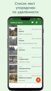Бесплатное приложение грибника