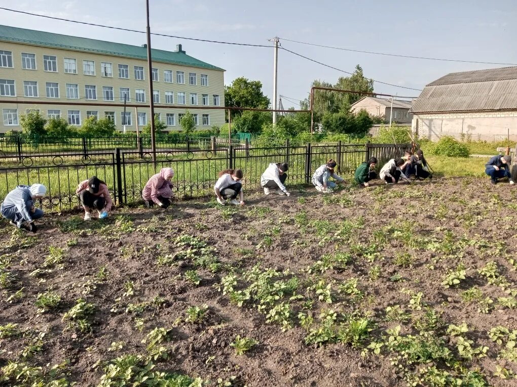 Погода ср елюзань. Средняя Елюзань Пензенская область. Сабантуй 2022 средняя Елюзань. Село средняя Елюзань школа 2. Трудовая практика в школе.