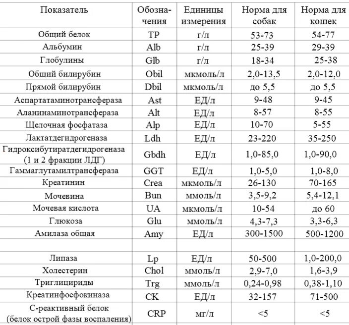 Общий анализ белок повышен. ЛДГ В биохимическом анализе крови норма. ЛДГ В биохимическом анализе крови норма у мужчин. Анализ крови ЛДГ норма у женщин таблица. ЛДГ В биохимическом анализе крови норма у детей 8 лет.