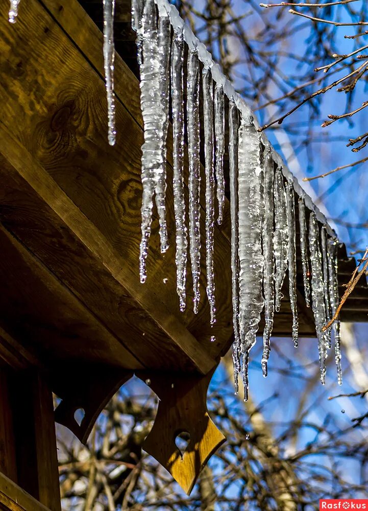 Капли на солнце. 7 капель солнца. Капля на рассвете. Капельки росы на солнце. 7 капель солнца.