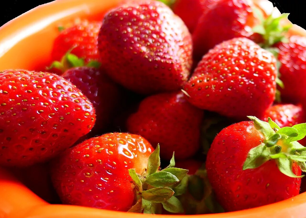 Клубника на белом фоне. Клубника. Цветок клубники. Земляника лесная кустик. Клубника без ягод.