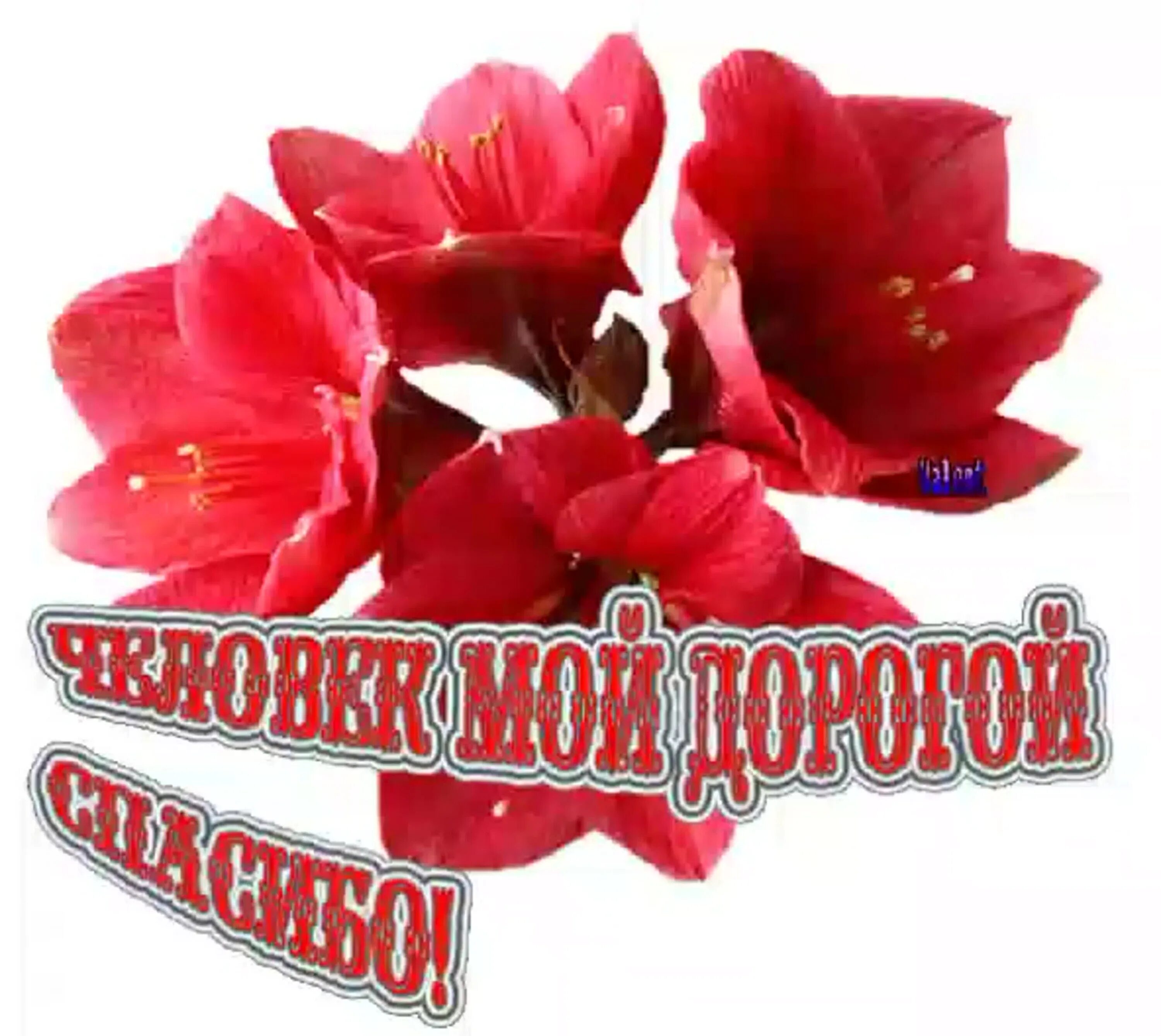 Добрый день просьба найти родных