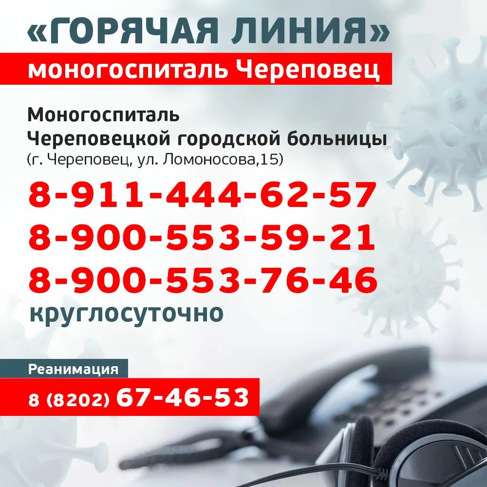 Номера телефонов поликлиник череповец. Горячая линия. номер телефона горячей линии. моногоспиталь череповец ломоносова. горячая линия круглосуточно.