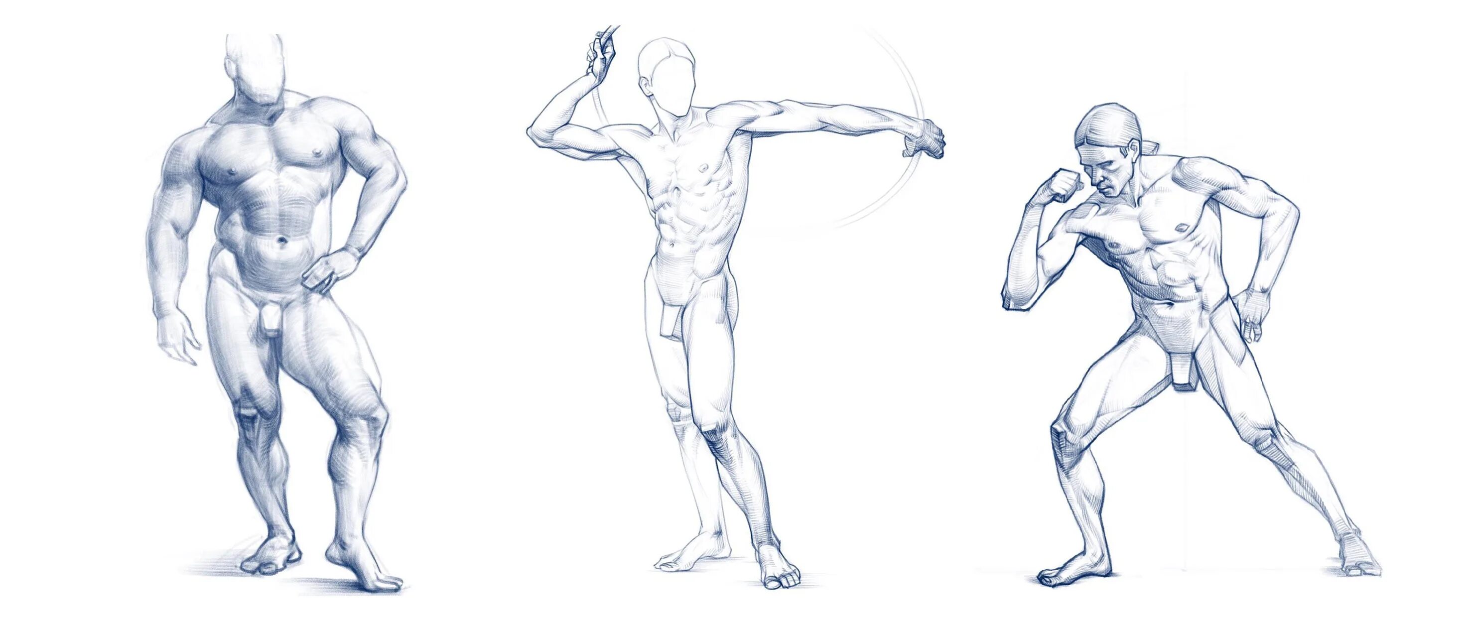 Draw figure website