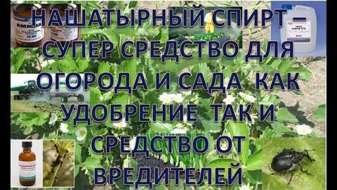 Нашатырный для сада и огорода