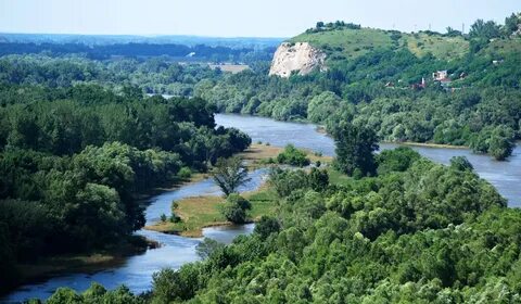 Устье моравы