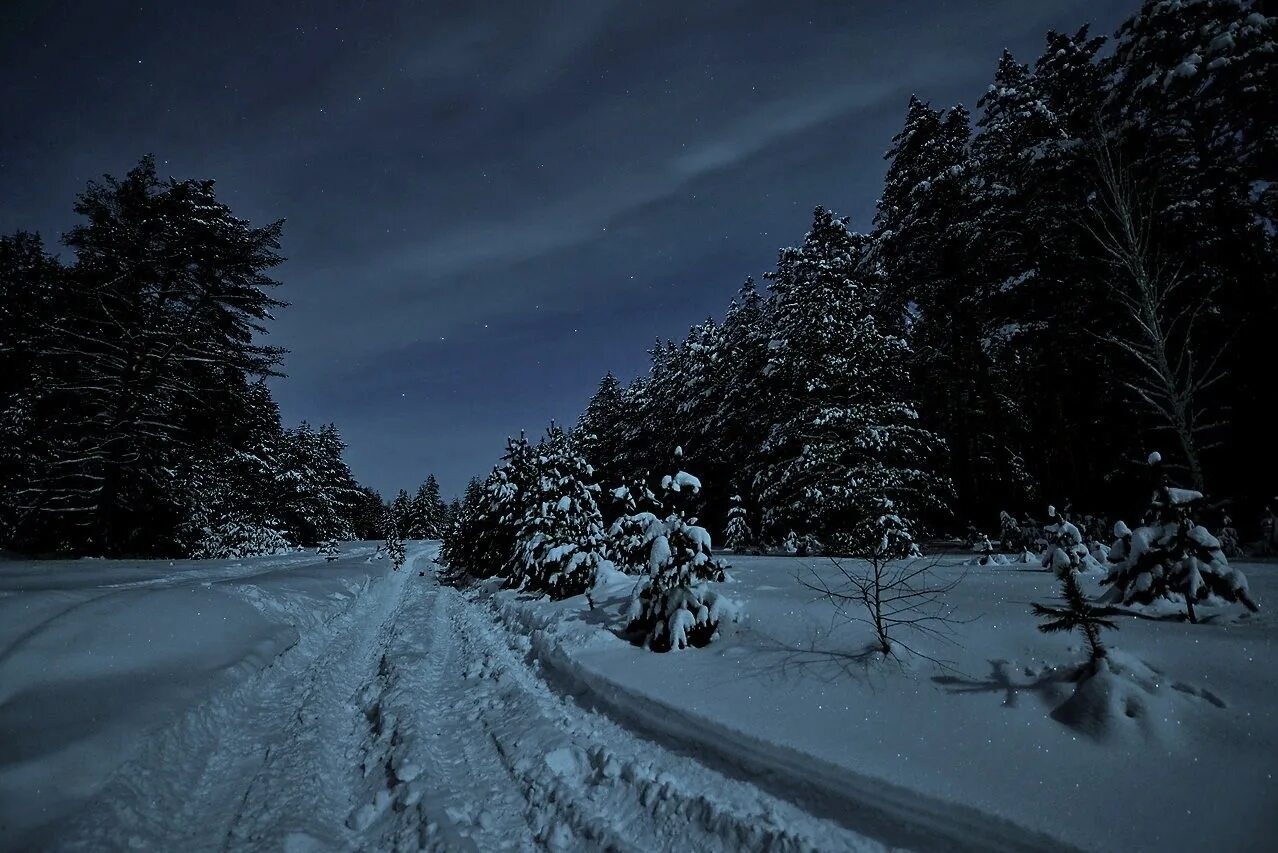 зима. зимней морозной ночи картинки. снег ночью. зима в деревне. зима ночь.