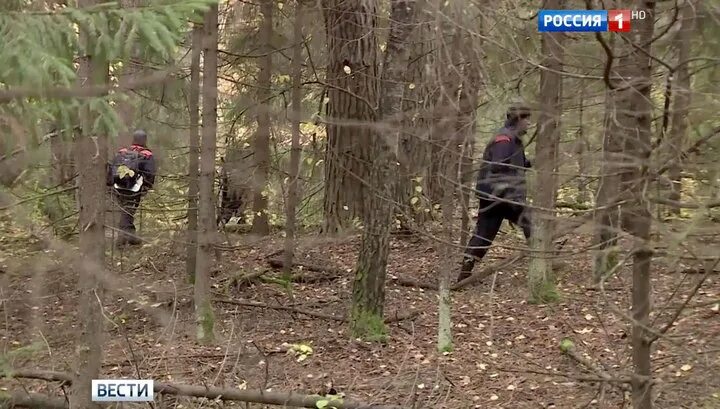 Маски чори лесу мальчик. Мальчик в лесу новости. Мальчик в лесу новости. Что пропало для мальчиков. Опустили мальчика в лесу.