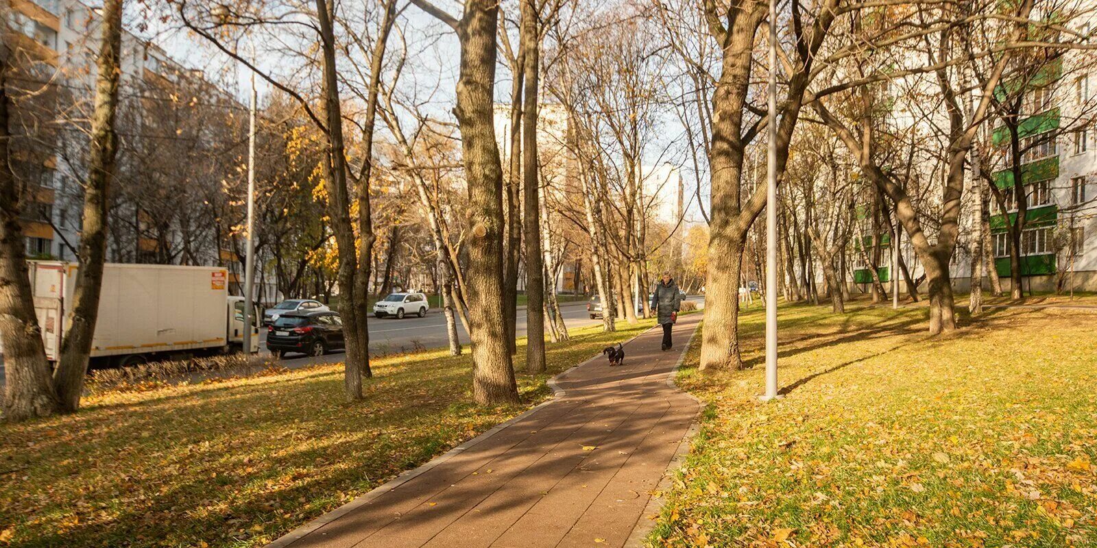 Печатники курьяново. Благоустройство печатники. печатники весна. москва площадь печатники. камчатка деревья благоустройство.
