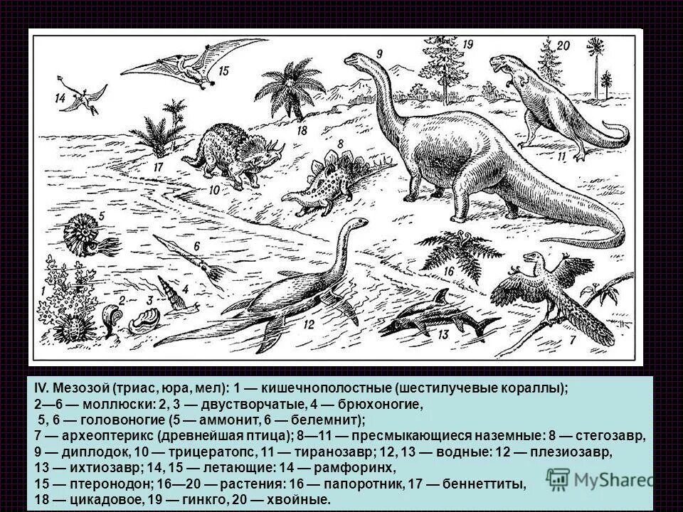 мезозойская эра период триас. мезозойская эра триас юра мел. мезозойская эра триас таблица. мезозой триас юра мел таблица. триас юра мел.