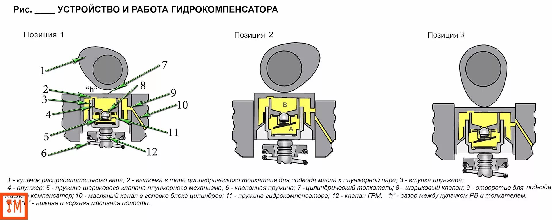 Давление масла гидрокомпенсатор. Гидрокомпенсатор ВАЗ 2112 схема. Гидравлический компенсатор зазоров клапанов. Схема гидрокомпенсаторы клапанов 409. Схема гидрокомпенсатора 2112.