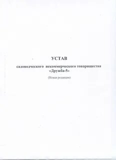 Как оформить устав