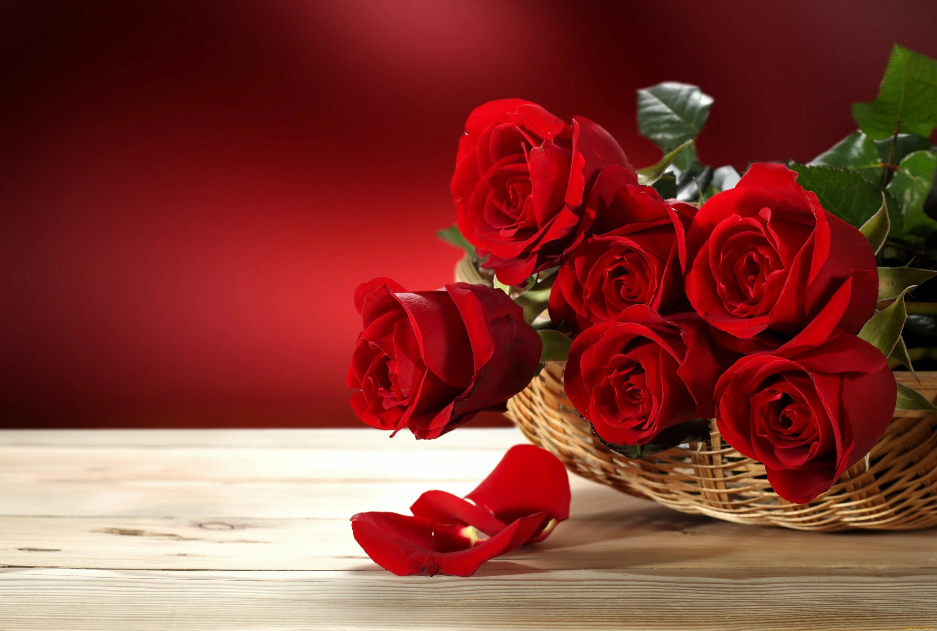 Открытка цветы. Красные розы. С днем рождения розы. Цветы поздравления.