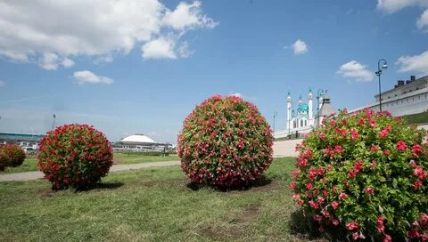 Дом цветов казань