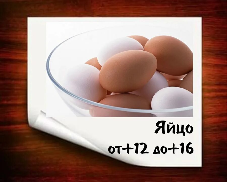 Температура перевозки яйца куриного. Транспортировка яиц куриных. Температурный режим перевозки яиц. Температурный режим при перевозке яиц.