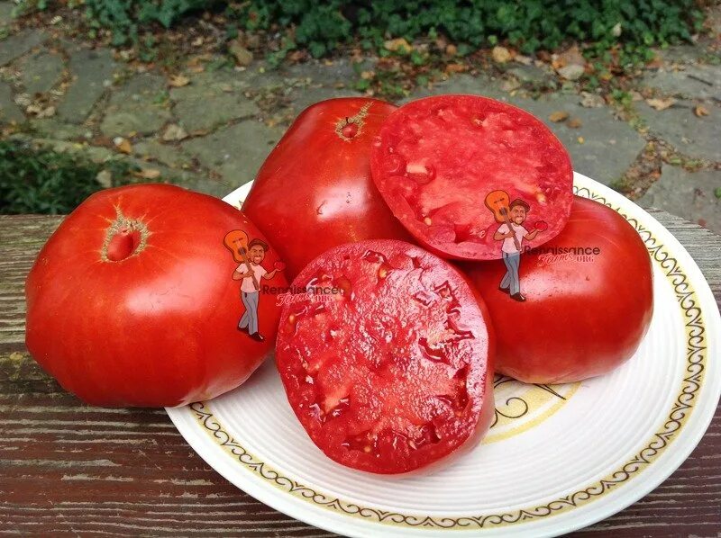 Сорт томатов бифштекс марши. Томат звездный истребитель биф. Томат мятежный звездный истребитель прайм. Сорт томатов бифштекс марши. Томат бифштекс альби.