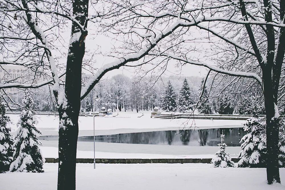 Зимы ждала ждала природа пушкин. Февраль в сибири. Совсем скоро зима. Какая ждет зима. С нетерпением ждем зиму.