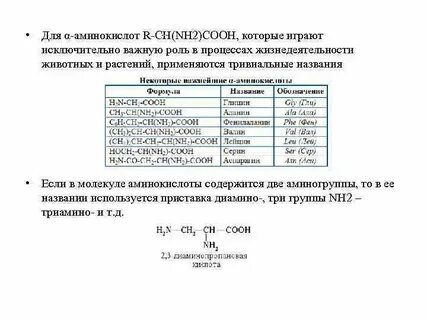 Тривиальные названия аминов